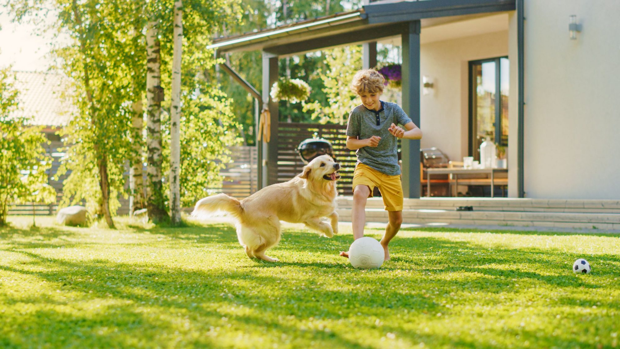 A boy playing soccer with his dog.