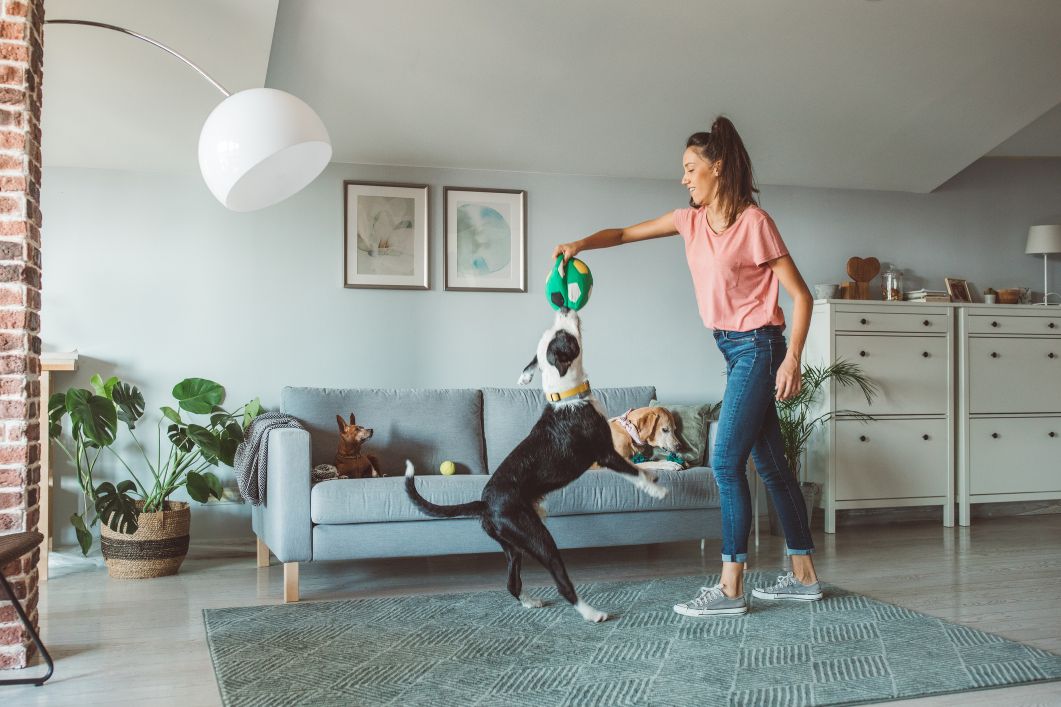 woman and dog playing