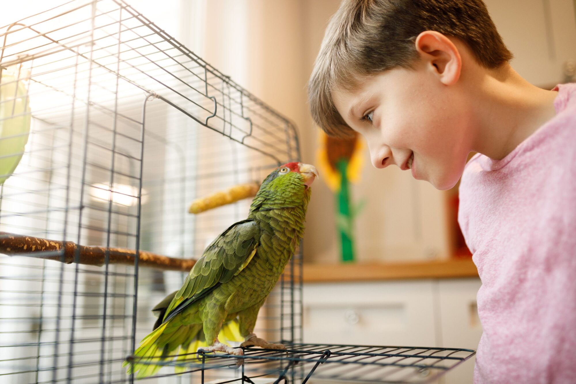 kid with pet bird.